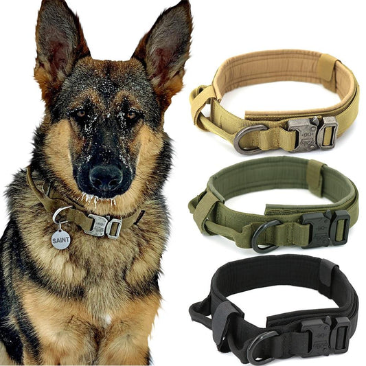 Tactical Military-Grade Dog Collar – Heavy-Duty, Fast Shipping